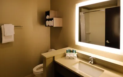 Photo 4 - Holiday Inn Express & Suites Plymouth - Ann Arbor Area by IHG