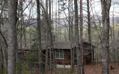 Photo 5 - Forrest Hills Mountain Resort