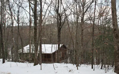 Photo 4 - Forrest Hills Mountain Resort