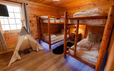 Photo 3 - Sleeps 16! Luxury Cabin With Game Room & Hot Tub