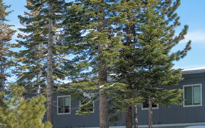 Tahoe Trail