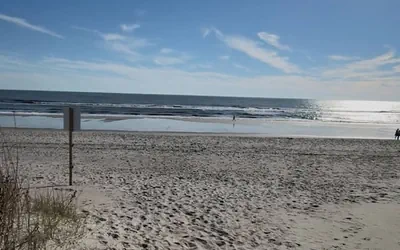 Photo 5 - New Listing Lux Beach House Dog Friendly