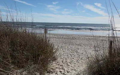 Photo 5 - New Listing Luxury House 5 Min Walk to Beach