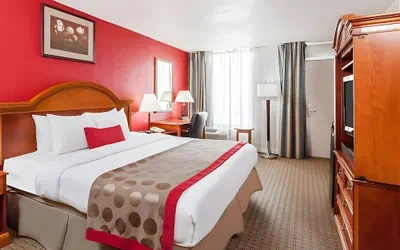 Photo 5 - Iberia House & Suites
