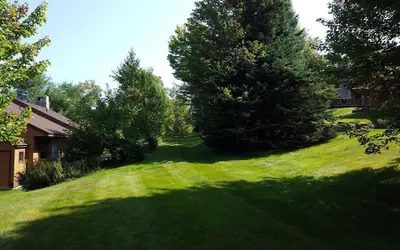 Photo 4 - Fc14 Slopeside Bretton Woods Cottage With AC, Large Patio and Private Yard! Walk to Slopes!
