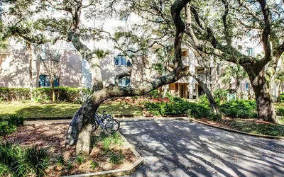 Dog-friendly Oceanfront Getaway With Shared Pool & Central AC