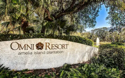 Oceanview Condo in Amelia Island Plantation With Balcony & Pool