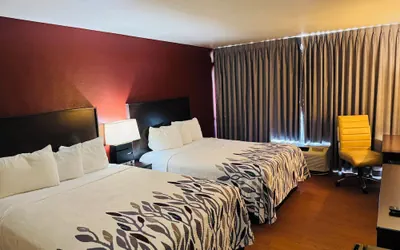 Photo 3 - Lubbock Regency Inn