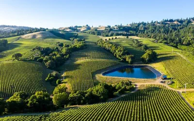 Photo 2 - Napa Escape Luxe King Bed Near Wineries & Spa