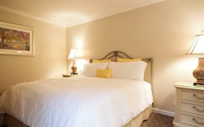 Photo 3 - Napa Escape Luxe King Bed Near Wineries & Spa
