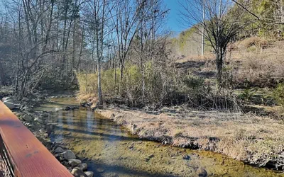 Photo 2 - Caney Creek