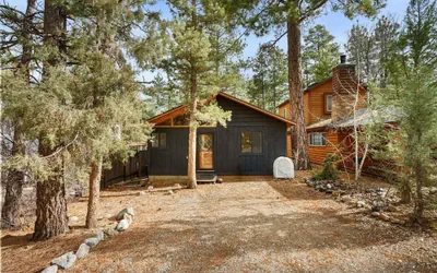 Mama Bear's Cozy Cabin