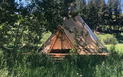 Photo 2 - Bodhi Farms