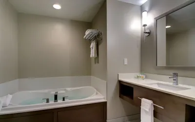 Photo 3 - Holiday Inn & Suites Peoria At Grand Prairie by IHG