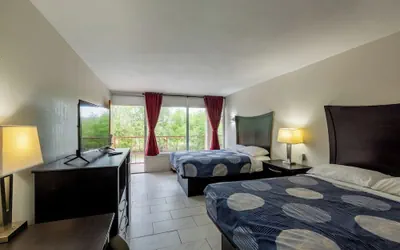 Photo 5 - Executive Inn