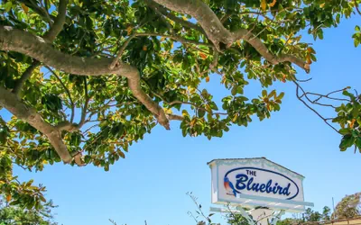 Photo 2 - Bluebird Inn