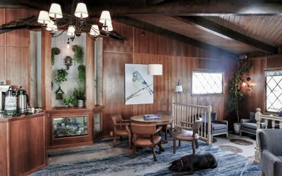 Photo 3 - Bluebird Inn