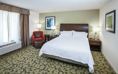 Photo 5 - Hilton Garden Inn Jackson/Flowood