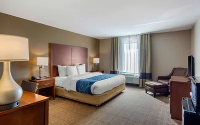 Photo 4 - Comfort Inn South Chesterfield - Colonial Heights