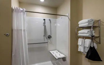 Photo 5 - Comfort Inn South Chesterfield - Colonial Heights