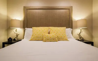 Pet-friendly Napa Retreat Wineries Downtown