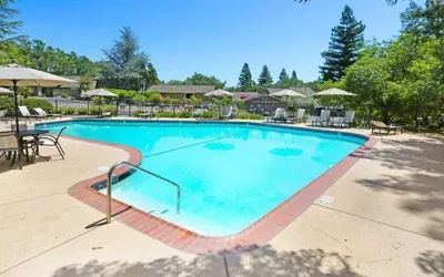 Photo 2 - Pet-friendly Napa Retreat Wineries Downtown
