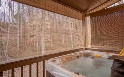 Cozy Hot Tub Cabin!