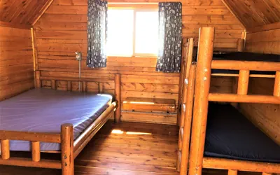 Photo 5 - Dixie Forest RV Resort