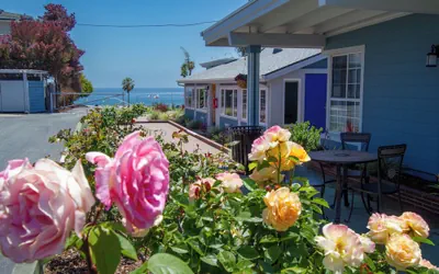 Photo 2 - Edgewater Beach Inn