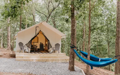 Photo 2 - Timberline Glamping River Forks