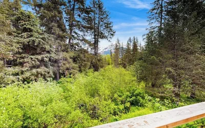 Photo 4 - Modern Girdwood Cabin w/ Tall Ceilings & Views