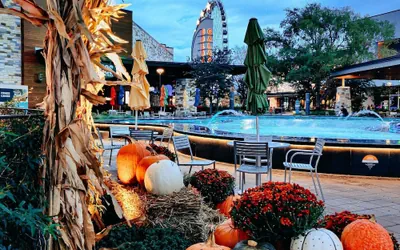 Hilton Garden Inn The Colony Dallas
