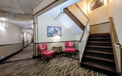 Photo 4 - Red Roof Inn & Suites Jacksonville, NC