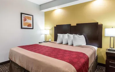 Photo 3 - Scottish Inns and Suites Spring, TX