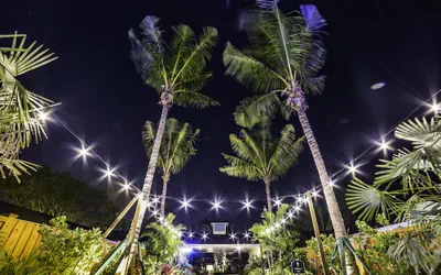 Photo 4 - Siesta Key Palms Resort