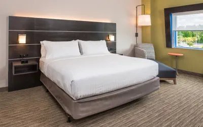 Photo 4 - Holiday Inn Express & Suites Tampa North - Wesley Chapel by IHG