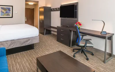 Photo 5 - Holiday Inn Express & Suites Tampa North - Wesley Chapel by IHG