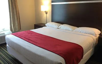 Photo 3 - The Inn Forza