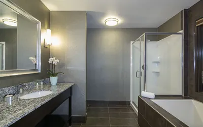 Photo 4 - Holiday Inn & Suites Silicon Valley - Milpitas by IHG