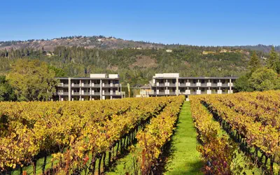 Alila Napa Valley, a Hyatt Luxury Resort