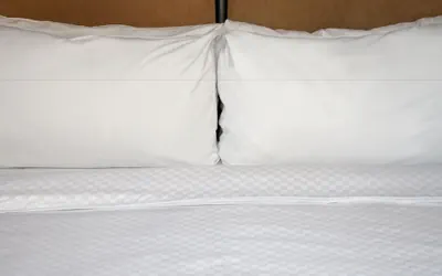 Photo 4 - Four Points By Sheraton Dallas Fort Worth Airport North