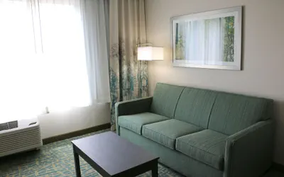 Photo 5 - Holiday Inn Express & Suites Hendersonville SE - Flat Rock by IHG