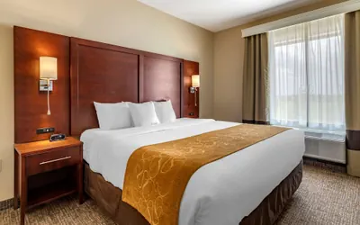 Photo 5 - Comfort Suites Kyle