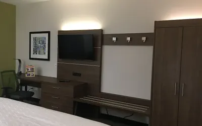 Photo 5 - Holiday Inn Express Grand Island - Niagara Falls by IHG