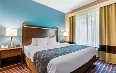 Photo 3 - Comfort Suites Fairview Heights - St. Louis