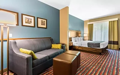 Photo 4 - Comfort Suites Fairview Heights - St. Louis