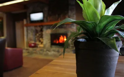 Photo 4 - C'mon Inn Hotel & Suites