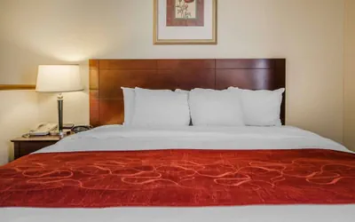 Photo 5 - Quality Suites Jeffersonville - Louisville North