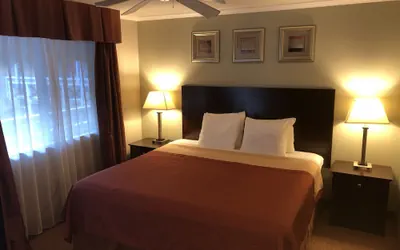 Photo 4 - Global INN