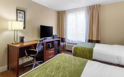 Photo 5 - Comfort Inn St Petersburg North